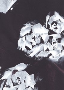 Motif floral blanc abstrait - Maira Ribena