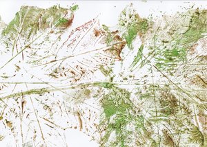Feuille abstraite