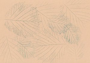 Motif de feuilles végétales