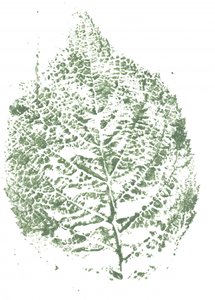 Imprimé botanique à feuilles - Maira Ribena