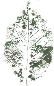 Imprimé botanique à feuilles