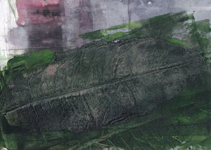 Empreinte de feuille vert foncé - Maira Ribena
