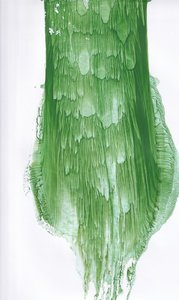 Fluid Green - Résumé - Maira Ribena
