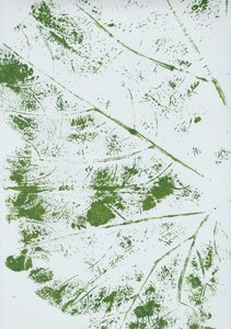 Impression de feuille verte