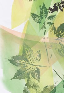 Superpositions « Feuille verte » - Maira Ribena