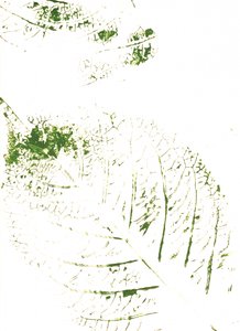 Imprimés feuilles vertes - Maira Ribena