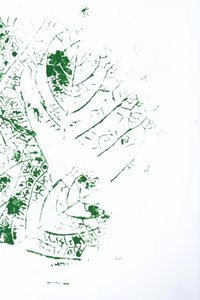 Motif de feuilles entrelacées - Maira Ribena