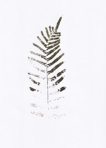 Imprimé minimaliste de feuilles de fougère
