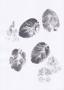 Empreintes de feuilles de menthe