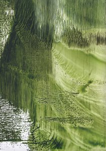 Flux vert biologique