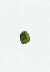Fluide vert bio - Maira Ribena