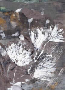 Fleurs blanches texturées