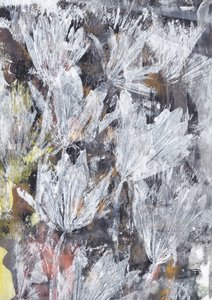 Fleur blanche épanouie - Maira Ribena