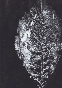 Impression de feuille blanche