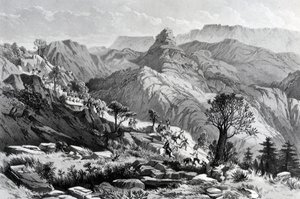 En marche près de Dongolo, gravé par James Ferguson, 1868