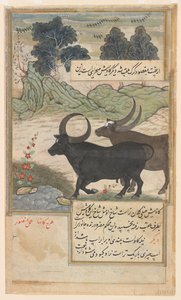Deux taureaux bleus et deux cerfs cochons, du Baburnama