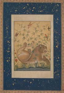 Lion au repos, vers 1585