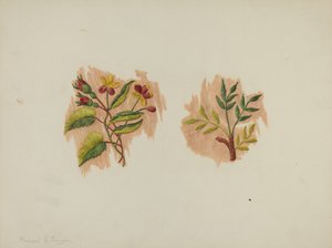 Fragment de jupon en soie, c. 1939 - Manuel G. Runyan