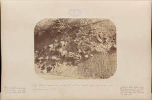 Étude détaillée de la partie sud de la section montrée sur la photographie numéro 6 - Marc Ferrez