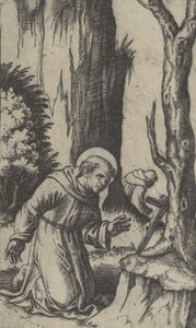 Saint François d