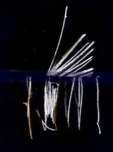 Due, 2018 (collage) - Marco Campedelli
