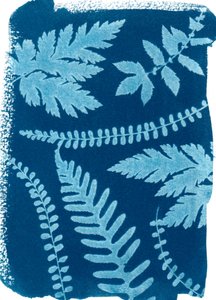 Montagne_147, 2023 (cyanotype) - Marco Campedelli