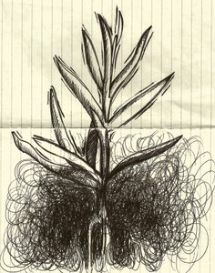 Plante, 2014 (encre sur papier) - Marco Campedelli