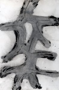 Ramas, 2014 (encre sur papier) - Marco Campedelli