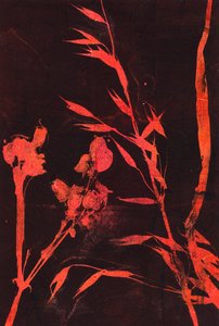 Feuilles rouges, 2024 (monotype) - Marco Campedelli