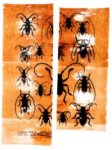 Foulards, 2023 (techniques mixtes) - Marco Campedelli