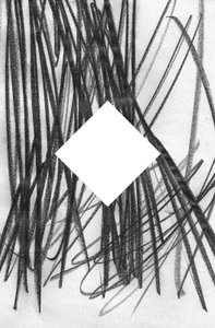 Sans titre, 2014 (graphite sur papier) - Marco Campedelli