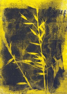 Feuilles jaunes, 2024 (monotype) - Marco Campedelli