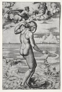 La Naissance de Vénus