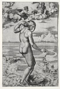 La Naissance de Vénus, vers 1516