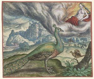 Fable du paon et du rossignol