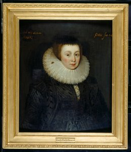 Lady Emily Howard - Marcus Gheeraerts