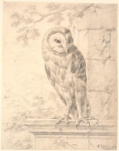 La chouette du baron von Stosch