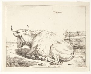Vache couchée - Marcus de Bye
