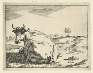 Vache couchée (Runderen en varkens)