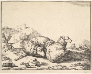 Moutons, d