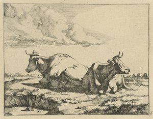 Deux vaches couchées - Marcus de Bye