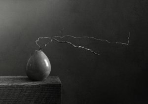 Poire et branche en noir et blanc