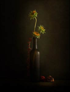 Nature morte au tournesol mélancolique