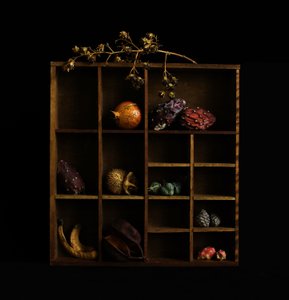 Nature morte botanique rustique