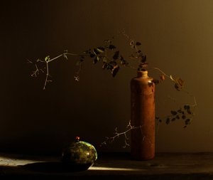 Nature morte rustique avec une coccinelle