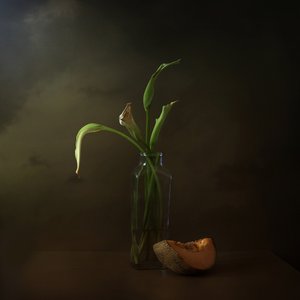 Lys fanés et melon