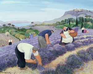 Lavande - Margaret Loxton