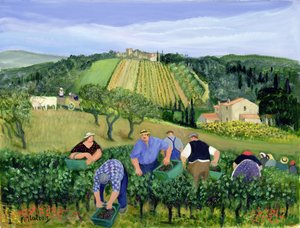 Vignoble, olives et tournesols - Margaret Loxton