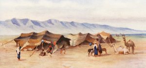 Campement arabe entre Homs et Palmyre