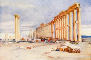 Colonnade, Palmyre, avec château turc au loin - Margaret Thomas